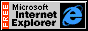 ie_icon.gif (783 bytes)